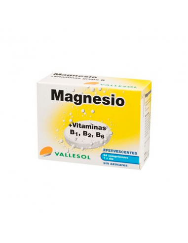 VALLESOL MAGNESIO+B EFERV 24 CAPS